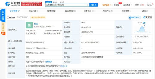 計算機軟件的開發 從概念到實現的科技之旅